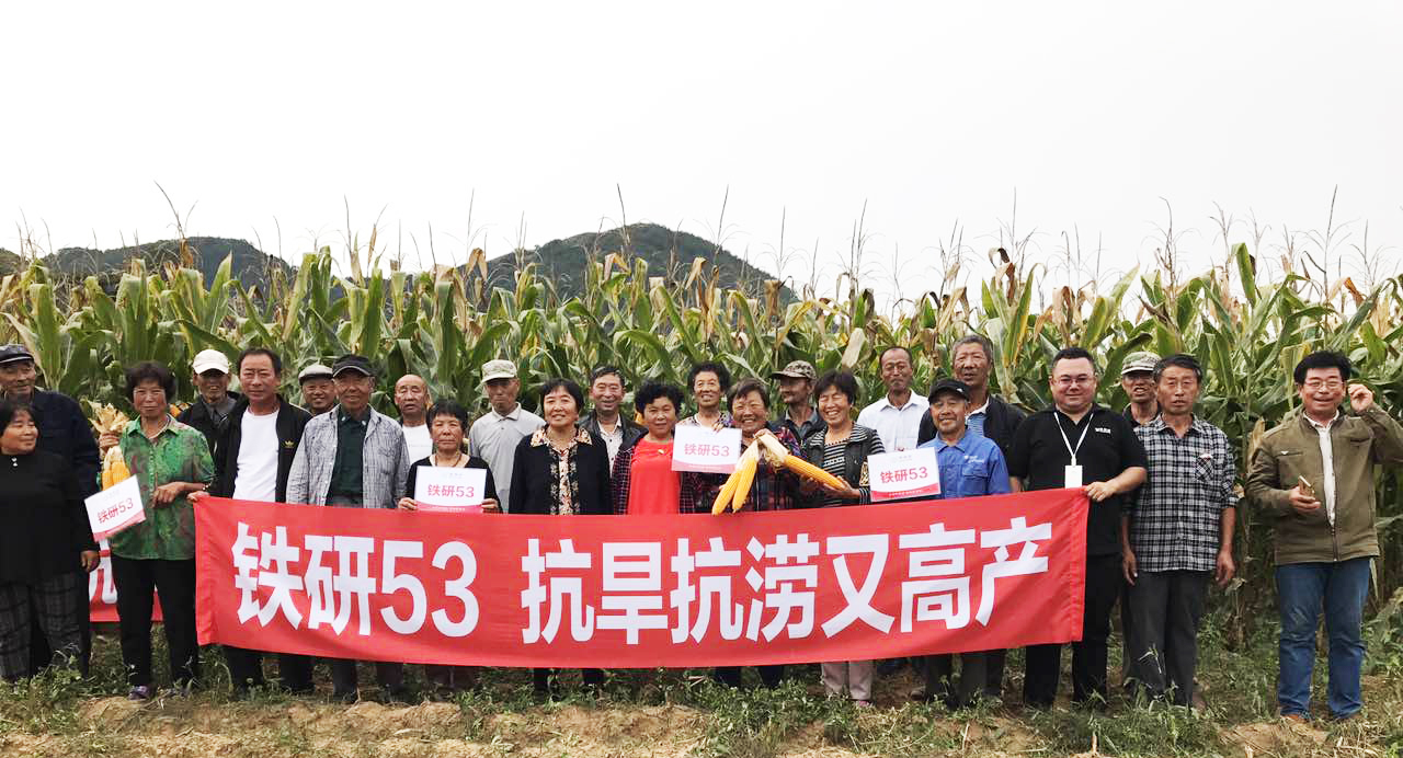 参会人员 参会人员
