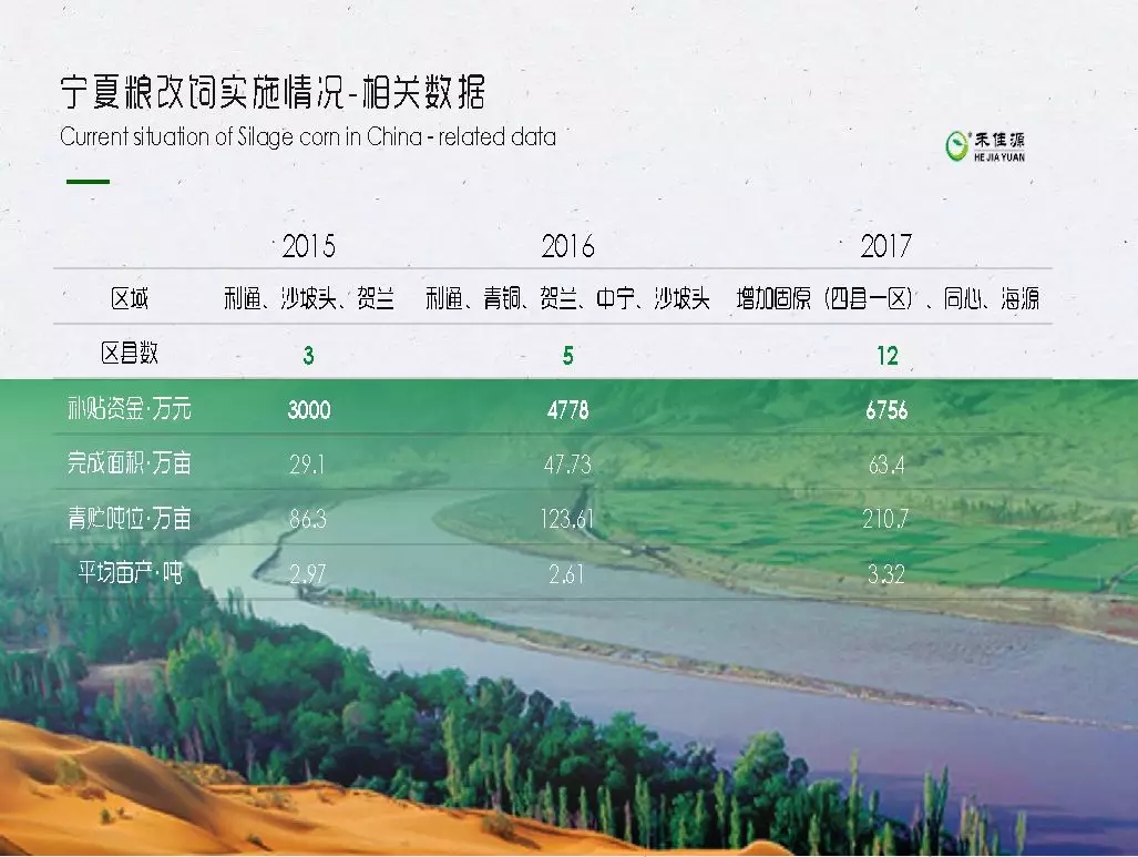 宁夏青贮玉米现状